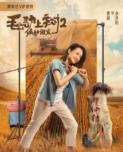 午夜影院在线观看黄视频